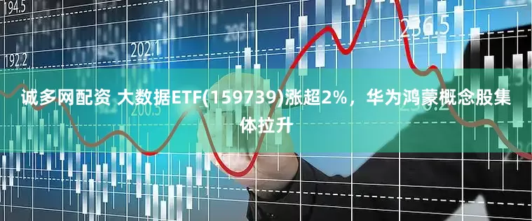 诚多网配资 大数据ETF(159739)涨超2%，华为鸿蒙概念股集体拉升